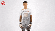 Chris Save GIF by grazerak