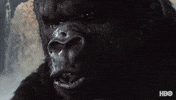 King Kong Vintage GIF by HBO Max