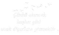 Sümktn Hobi Sticker