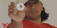 Indiana Hoosiers Yes GIF by Ball State University