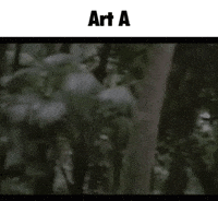 The Truth Art GIF