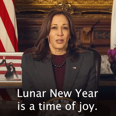 Lunar New Year is a time of joy.