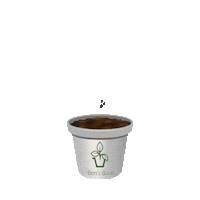 Fresh Herbs Sticker by bensbasil