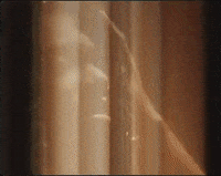 Gold GIF by Mereba