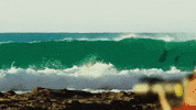 Surfing Hawaii GIF by 50statesproject