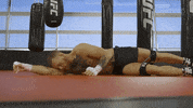 ufc stretching conor mcgregor warm up mcgregor GIF