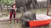 bathing GIF