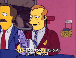 Season 2 Episode 6 GIF by The Simpsons