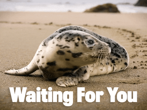 Love You Waiting GIF by Sealed With A GIF