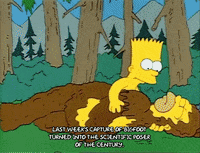 Season 1 GIF by The Simpsons