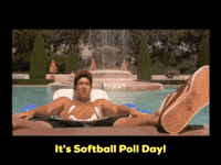 Softball Slow Pitch GIF by Disc Golf Brah