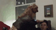 Kieran Culkin Fight GIF by Saturday Night Live