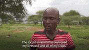 Environment Plague GIF by The Guardian