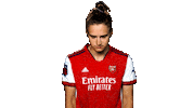 Celebrate Champions League Sticker by Arsenal