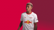 Background Look At That GIF by RB Leipzig