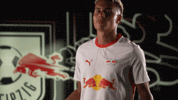Rb Leipzig Football GIF by Bundesliga