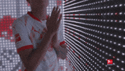 Rb Leipzig Football GIF by Bundesliga