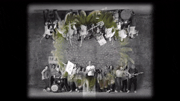 coldplay music friends life flowers GIF