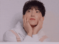 Dk 세븐틴 GIF