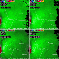 carolina november GIF