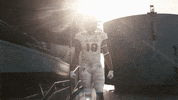 North Carolina Wolfpack GIF by NC State Athletics
