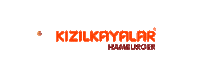 Burger Sticker by kizilkayalar