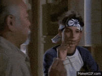 flies GIF