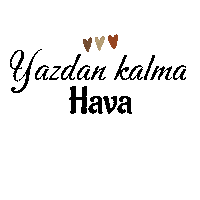 Mnkssonbahar Sticker