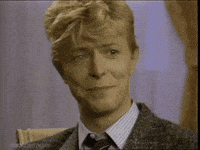happy david GIF