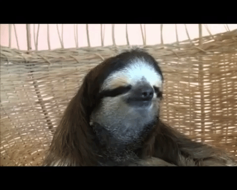 rape GIF