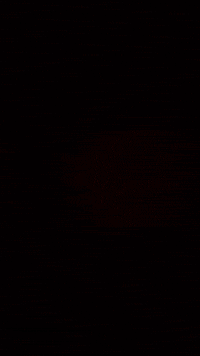 Bg3 Baldursgate3 GIF by Youtooz