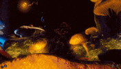 Baldurs Gate Bg3 GIF by Larian Studios
