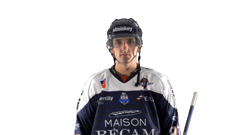 Hamill Sticker by Les Ducs d'Angers