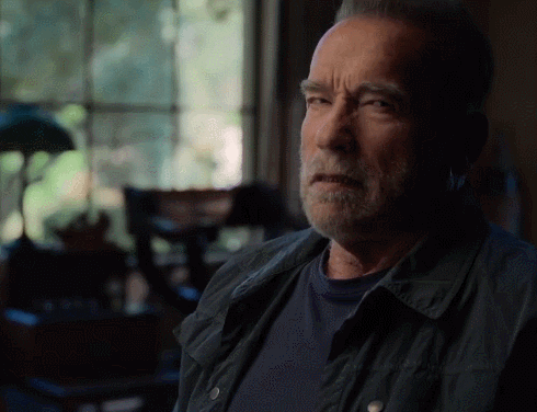 espantalho555 giphyupload GIF