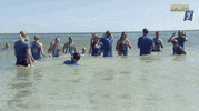 ncaasports ncaa bruins ucla beachvolleyball GIF