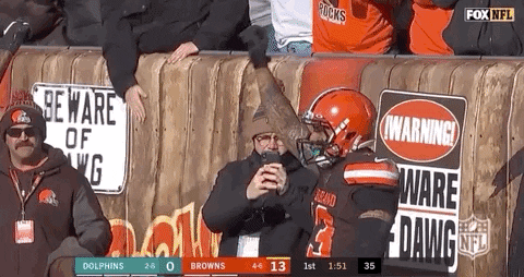 2019 Nfl Football GIF by NFL