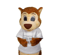 universityofstirling yes celebrate winning success Sticker