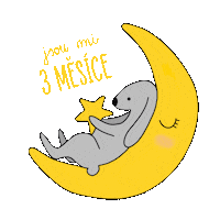 Baby Star Sticker