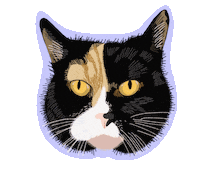 Cat Disco Sticker