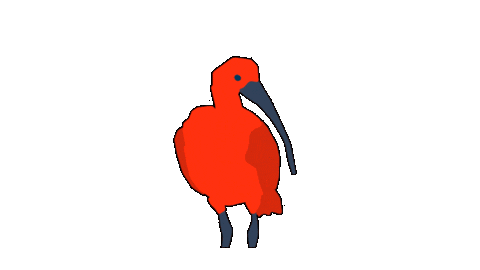 Bird Guaratuba Sticker by Guará Mapping Festival