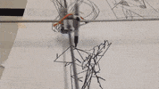 Natan_Lawson  GIF