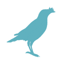 inBlooomDesign flower bird birds 花 Sticker