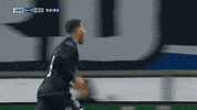 GIF by FOX Sports