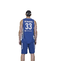 Bensheim Sticker by VfL Basketball