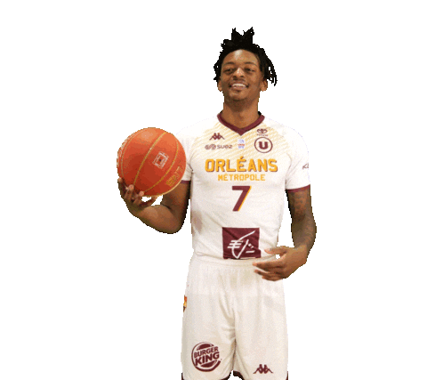 Davenport Orleansloiretbasket Sticker by OLB