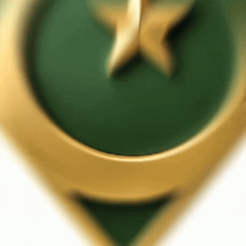 Beinpakistan GIF