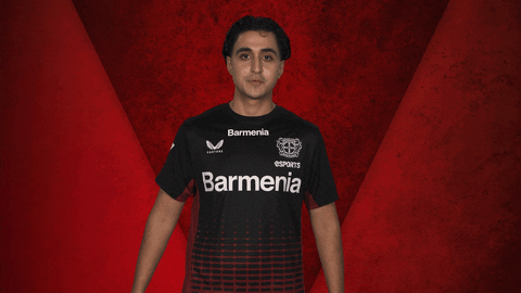 Leverkusen Vbl GIF by Bundesliga
