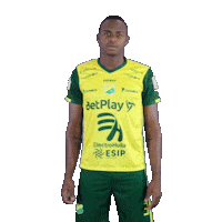 Futbol Colombia Sticker by INDEPENDIENTE DEL VALLE