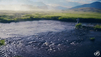 TheBroadmoor travel vacation luxury hotel GIF