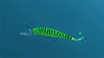 as GIF